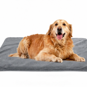 Everyday Pet Mat